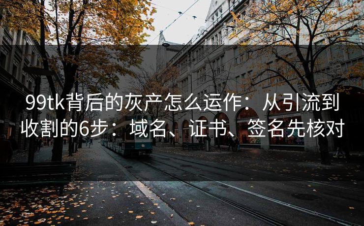 99tk背后的灰产怎么运作：从引流到收割的6步：域名、证书、签名先核对