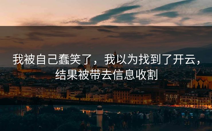 我被自己蠢笑了，我以为找到了开云，结果被带去信息收割