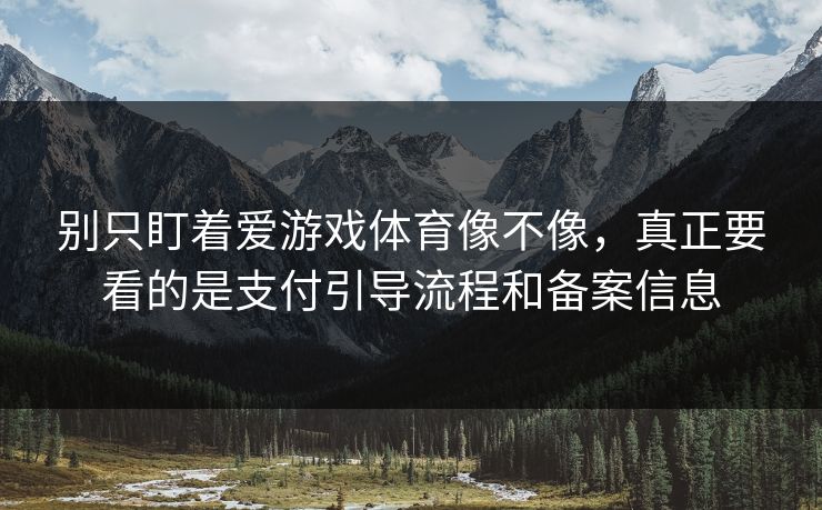 别只盯着爱游戏体育像不像，真正要看的是支付引导流程和备案信息