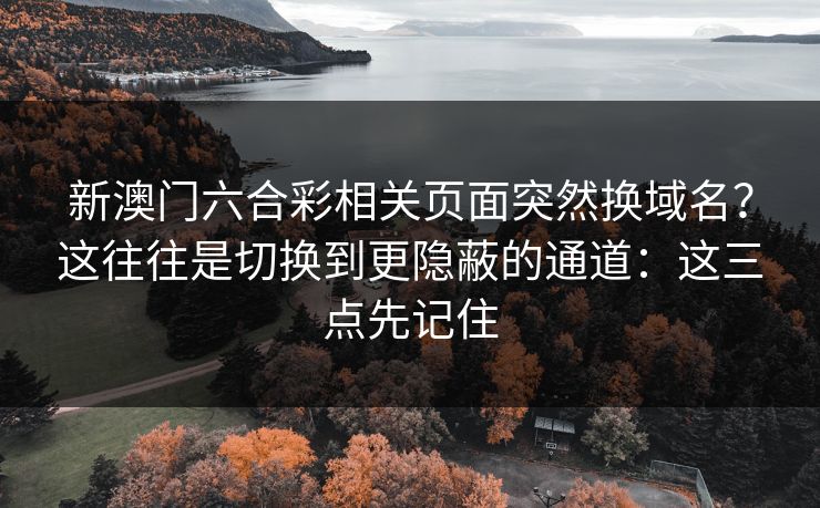 新澳门六合彩相关页面突然换域名？这往往是切换到更隐蔽的通道：这三点先记住
