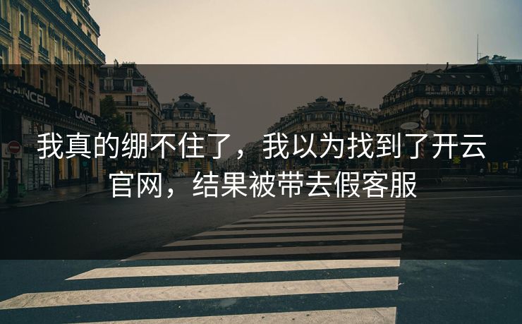 我真的绷不住了，我以为找到了开云官网，结果被带去假客服